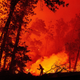 A firefighter douses flames as they push towards homes during the Creek fire in the Cascadel Woods area of unincorporated Madera County, California.
